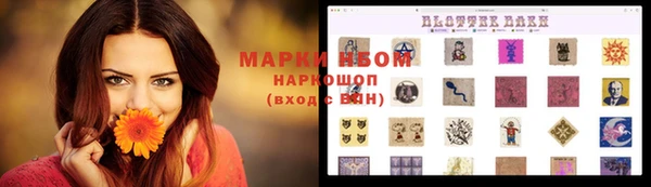 гидропоника Алзамай