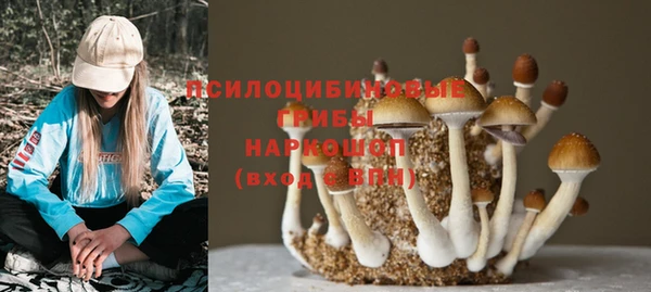 COCAINE Заводоуковск