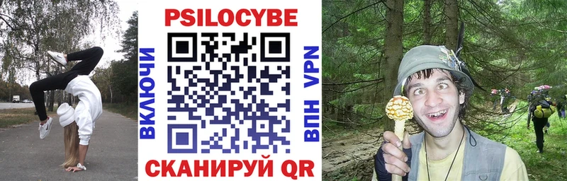 omg как зайти Котовск Псилоцибиновые грибы прущие грибы закладки
