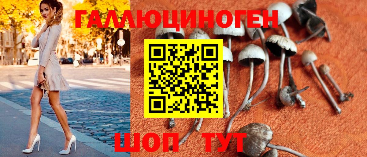 Псилоцибиновые грибы MAGIC MUSHROOMS  Вход с VPN  цены наркотик  Котовск 
