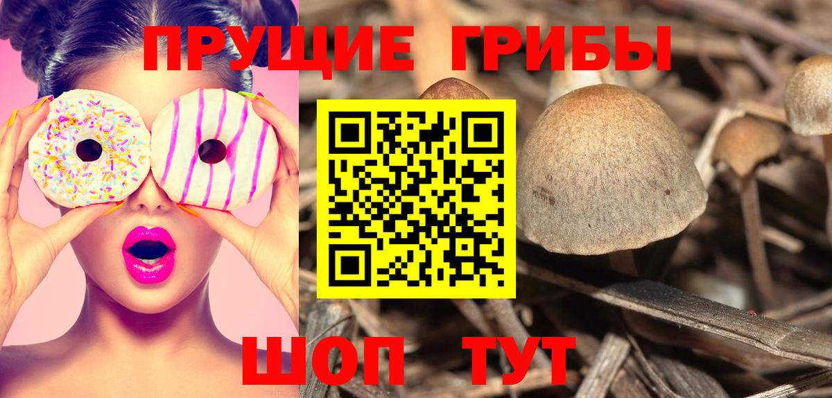 Галлюциногенные грибы мухоморы Котовск